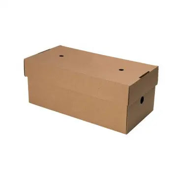 Premium Delivery Meal Box - 244 x 122 x 102mm (100)
