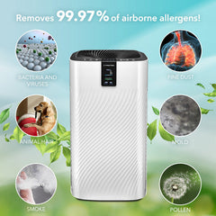 Hepa Air Purifier